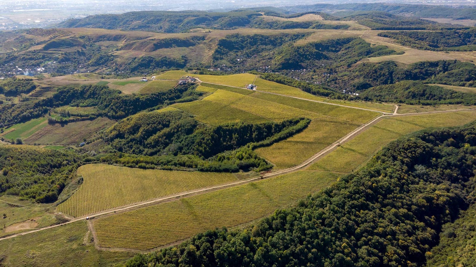 Crama Marcea — Pitești
