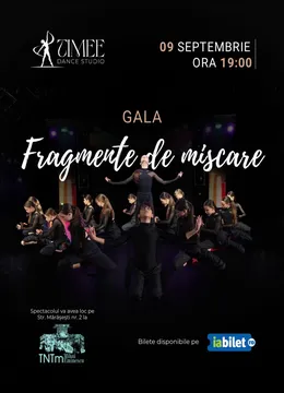 Fragmente de miscare — Timișoara