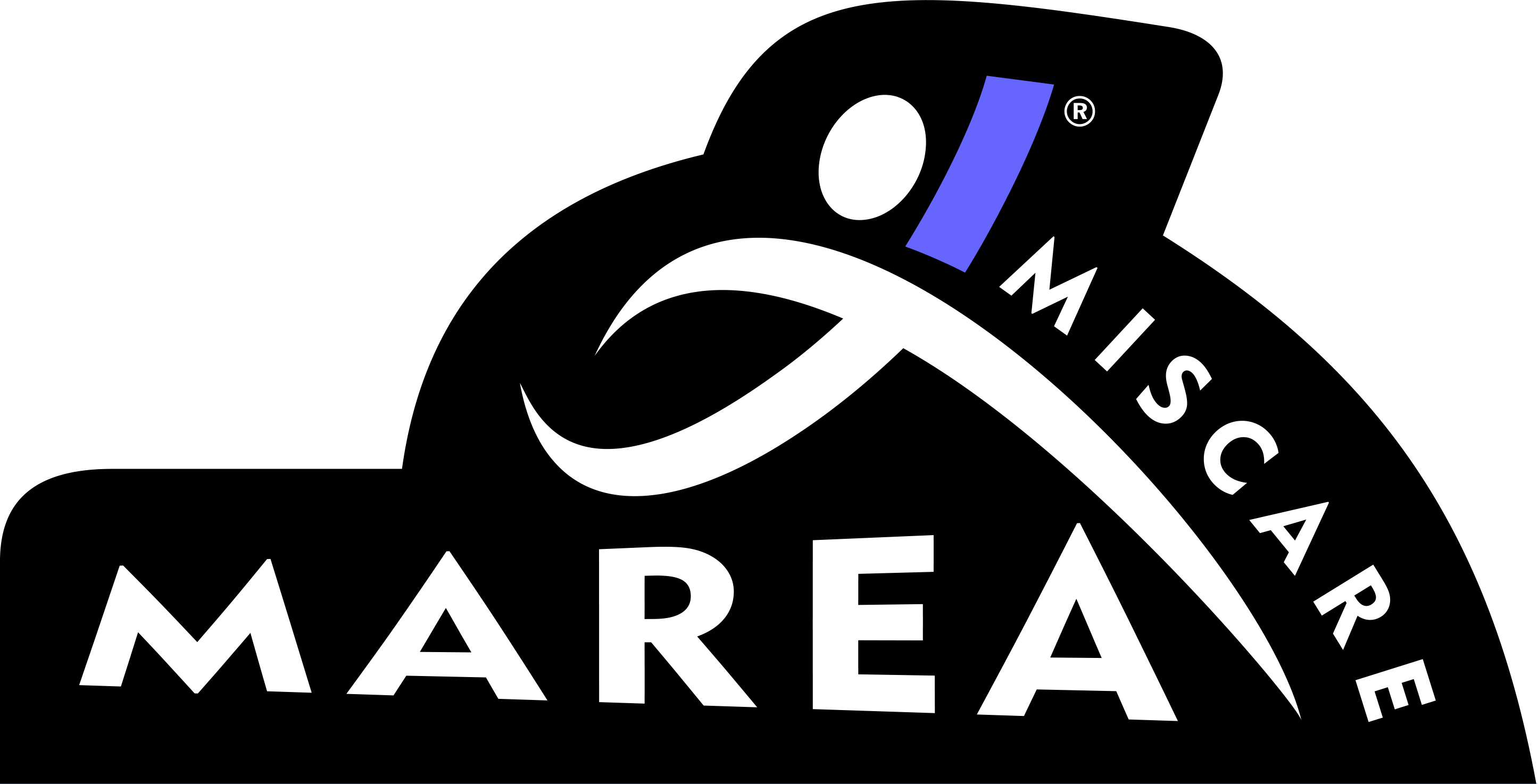 Marea Mișcare — Piatra Neamț