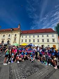 Clubul Sportiv Montan Sibiu — Sibiu