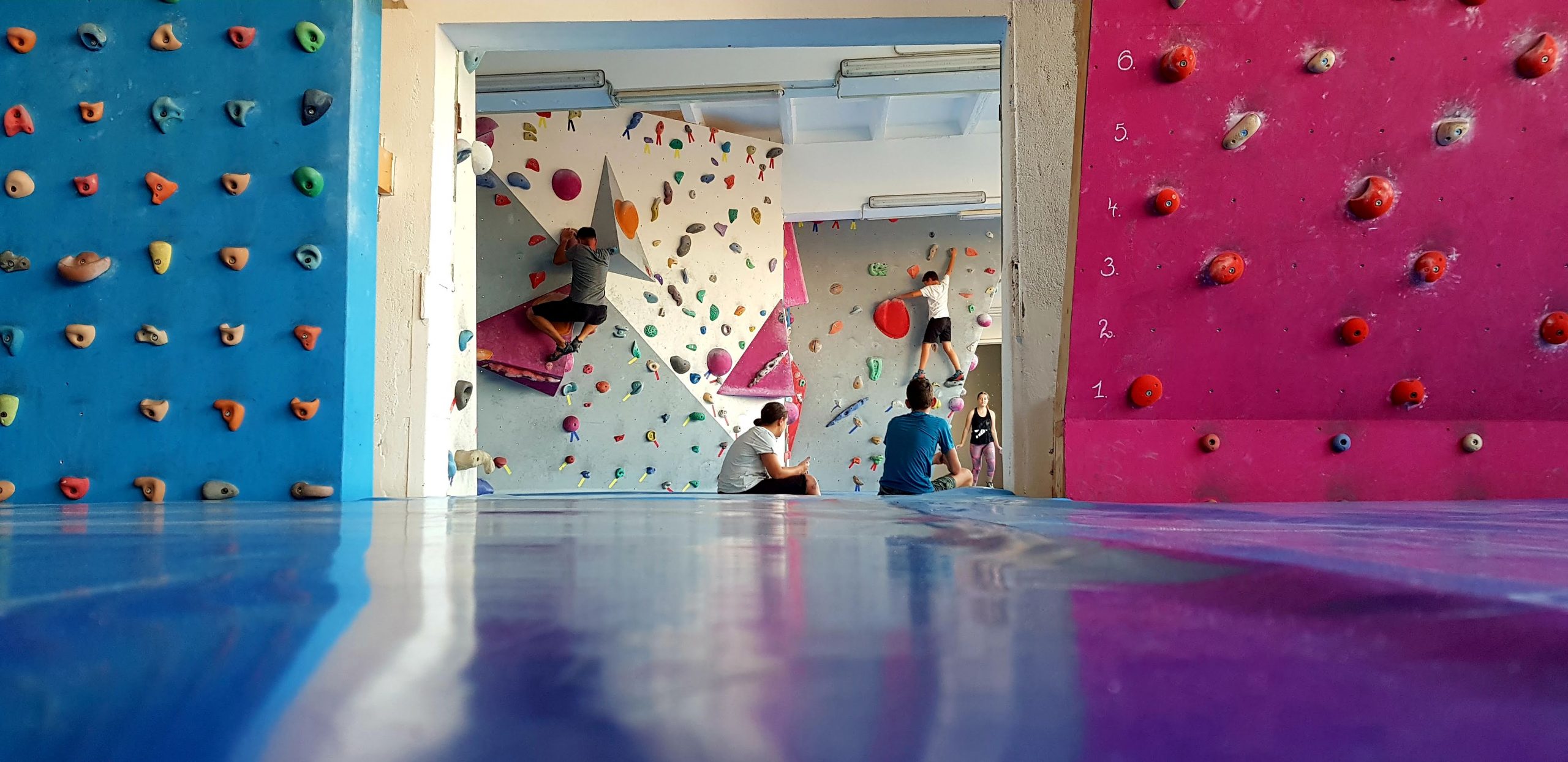 Fitness pentru adulți · Adulți — Oradea