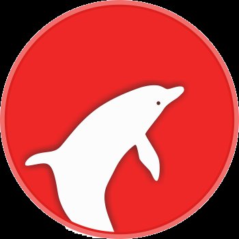 Demonstrație cu delfini — Constanța