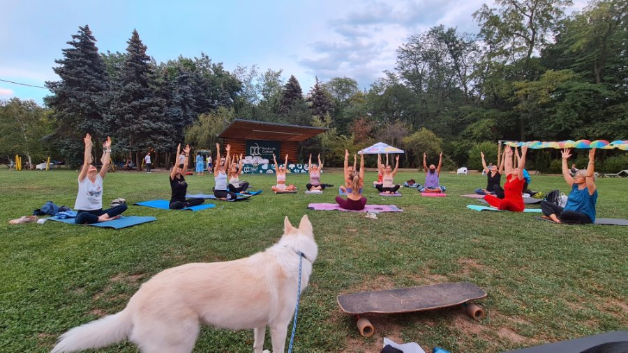 Outdoor Yoga in Herastrau — București