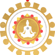 Yin Yoga – nivel începători/ intermediari/ avansați* — Sibiu