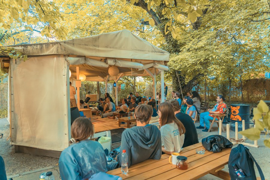 T5 Social — București
